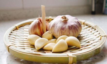 Bawang Putih Bisa Turunkan Kolesterol? Fakta Atau Mitos?