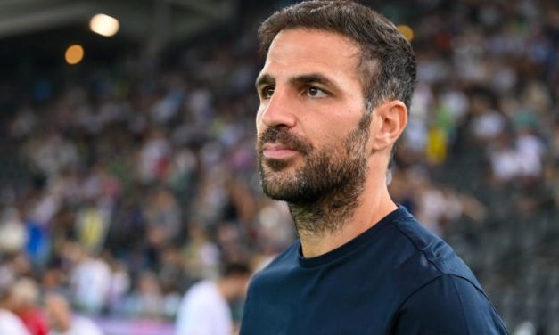 Fabregas Jadi Sorotan Negatif, Cassano Minta Keluar Dari Italia