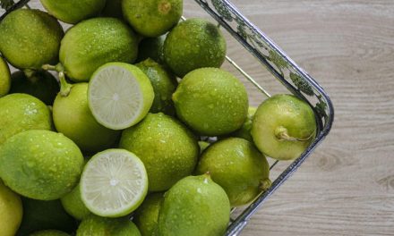 Waspada! Bahaya Tersembunyi Jeruk Nipis Untuk Kesehatan